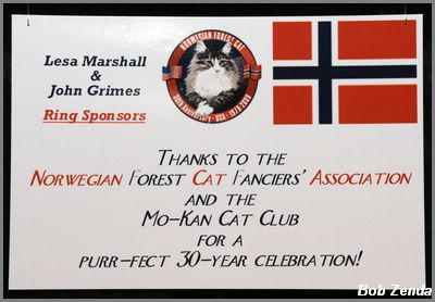Norwegian 30th Anniversary Celebration
